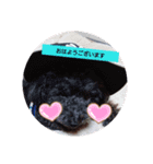 kkuuu（個別スタンプ：1）