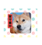 kkuuu（個別スタンプ：3）