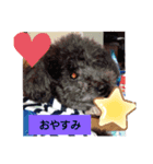 kkuuu（個別スタンプ：4）