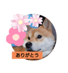 kkuuu（個別スタンプ：5）