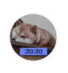kkuuu（個別スタンプ：7）