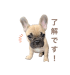 1023MUGI stamp（個別スタンプ：8）