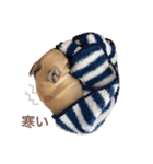 1023MUGI stamp（個別スタンプ：22）