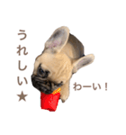 1023MUGI stamp（個別スタンプ：24）