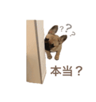1023MUGI stamp（個別スタンプ：32）