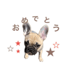 1023MUGI stamp（個別スタンプ：39）