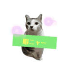かりまろん（個別スタンプ：2）
