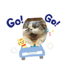 猫カフェねこまんまです（個別スタンプ：3）
