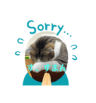 猫カフェねこまんまです（個別スタンプ：5）