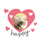 猫カフェねこまんまです（個別スタンプ：8）