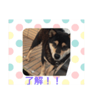 我が家のアイドル 5人兄妹（個別スタンプ：7）