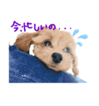 我が家のオトちゃん（個別スタンプ：2）