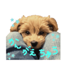 我が家のオトちゃん（個別スタンプ：3）