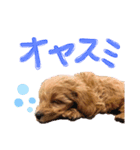 我が家のオトちゃん（個別スタンプ：8）