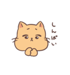 もちもちほっぺのねこ（個別スタンプ：16）