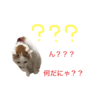 ponyo365（個別スタンプ：7）