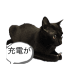aquabmx（個別スタンプ：5）