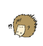 ハリネズミ ことげの日常（個別スタンプ：11）