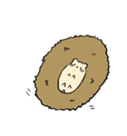 ハリネズミ ことげの日常（個別スタンプ：13）
