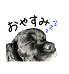 コッカーとセッター（個別スタンプ：15）