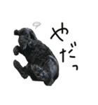 コッカーとセッター（個別スタンプ：20）