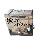 コッカーとセッター（個別スタンプ：30）