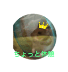 ゴルハムのチョコ（個別スタンプ：2）