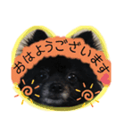 犬・ヨークシャーテリア・ポメラニアン（個別スタンプ：3）