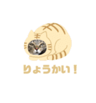 いとうももちゃんのスタンプ♪（個別スタンプ：3）