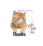 Sの1日（個別スタンプ：1）