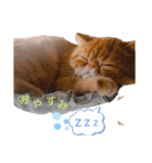 Sの1日（個別スタンプ：2）