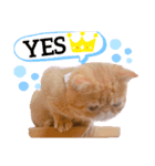 Sの1日（個別スタンプ：3）