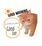 Sの1日（個別スタンプ：5）