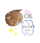 Sの1日（個別スタンプ：7）