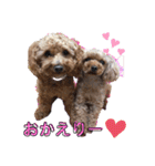 トイプードル   姫華＆夢華（個別スタンプ：19）