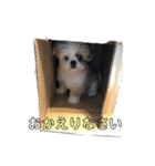 たかはしRくん（個別スタンプ：4）