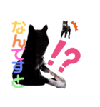 黒柴犬 てくてく☆にんにん③（個別スタンプ：4）
