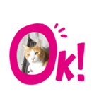 むっちゃんです♪（個別スタンプ：2）