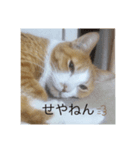 むっちゃんです♪（個別スタンプ：5）