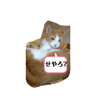 むっちゃんです♪（個別スタンプ：6）