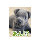 オイの名前はモイ（個別スタンプ：2）