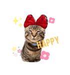 れいぽんずのぼん（個別スタンプ：4）