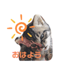 れいぽんずのぼん（個別スタンプ：6）