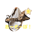 れいぽんずのぼん（個別スタンプ：7）