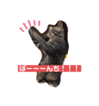 れいぽんずのぼん（個別スタンプ：10）