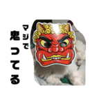 我が家のキャップさん⑧（個別スタンプ：1）