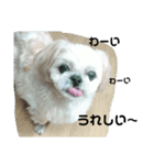 我が家のキャップさん⑧（個別スタンプ：2）