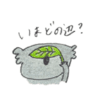 コアラの毎日（個別スタンプ：13）