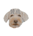 我が家のリトルP（個別スタンプ：10）