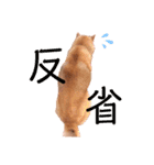 だいすきあらしくん（個別スタンプ：2）
